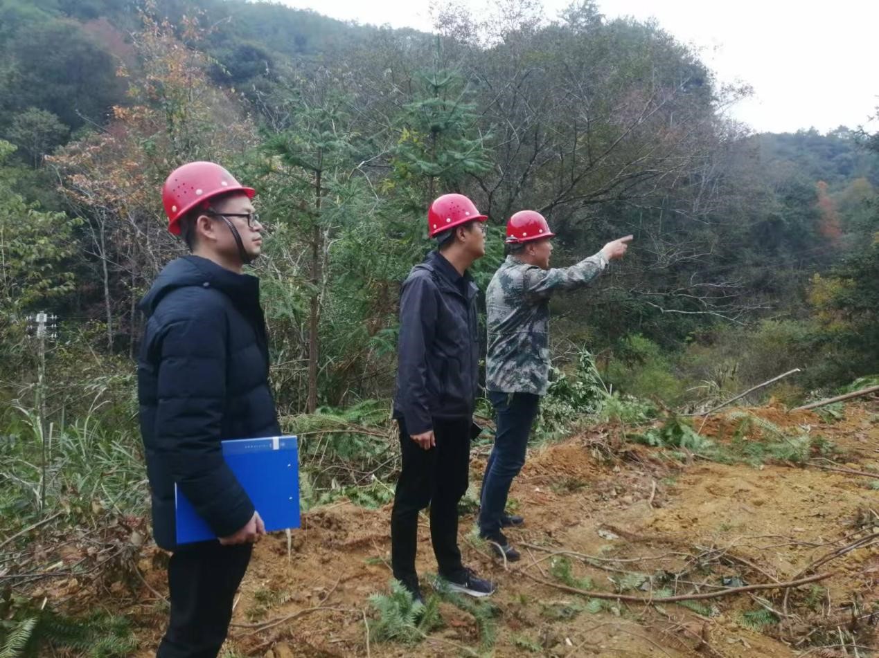 全面強化安全責任，嚴守森林防火線——福建金森全力保障生產安全