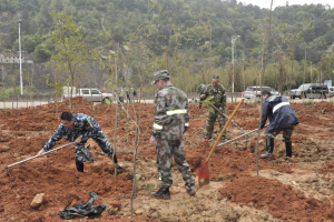 陽春三月雨，正是植樹好時節