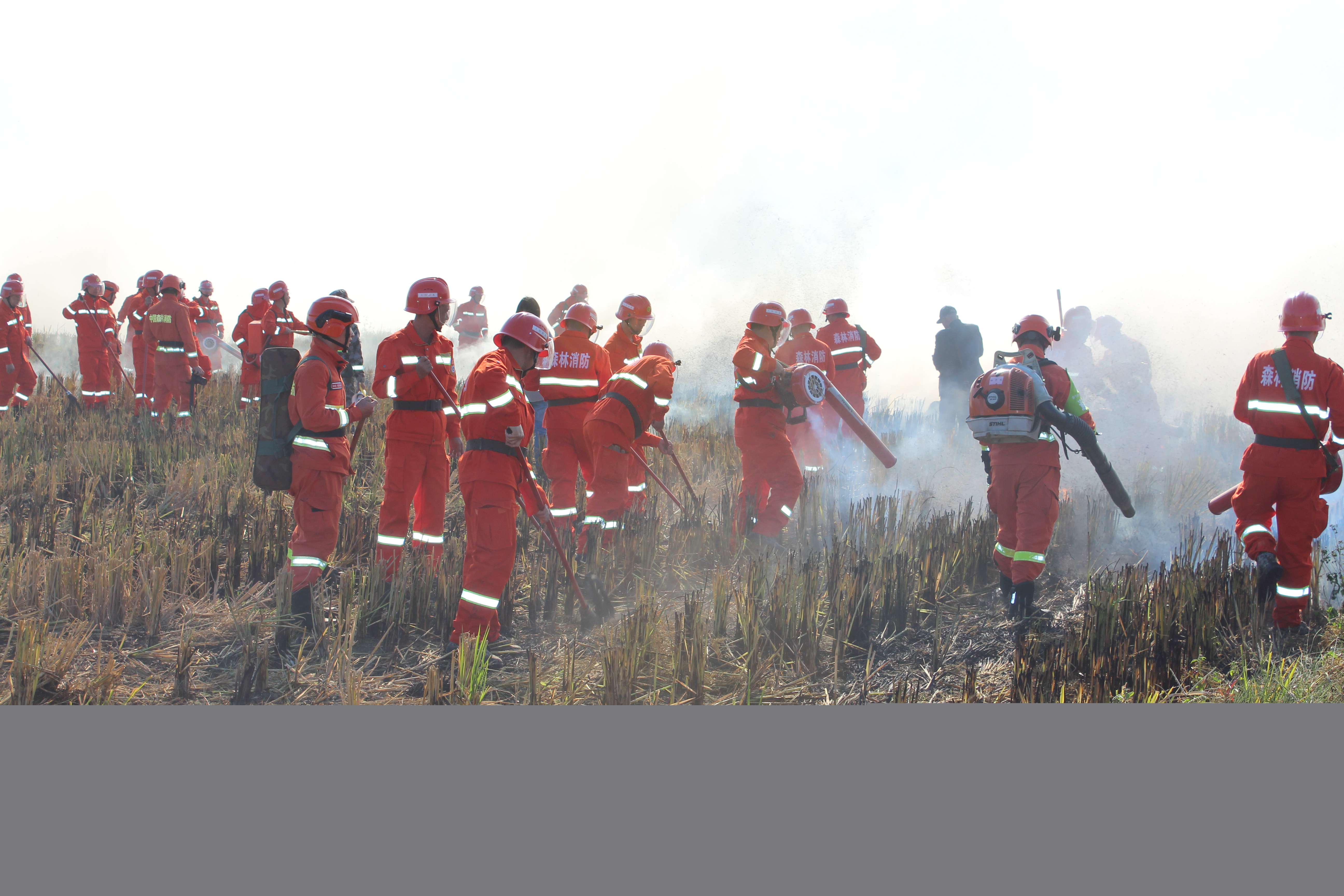 干好每一天|福建金森開展森林防火業務培訓及防火演練 干好每一天|福建金森開展森林防火業務培訓及防火演練