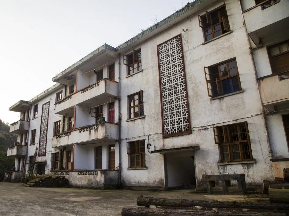 【金森榜樣】護林員邱玉祥的一天:想一輩子與青山相伴 【金森榜樣】護林員邱玉祥的一天:想一輩子與青山相伴