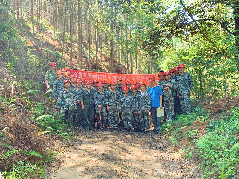 嚴把森林培育質量關，譜寫資源培育新篇章
