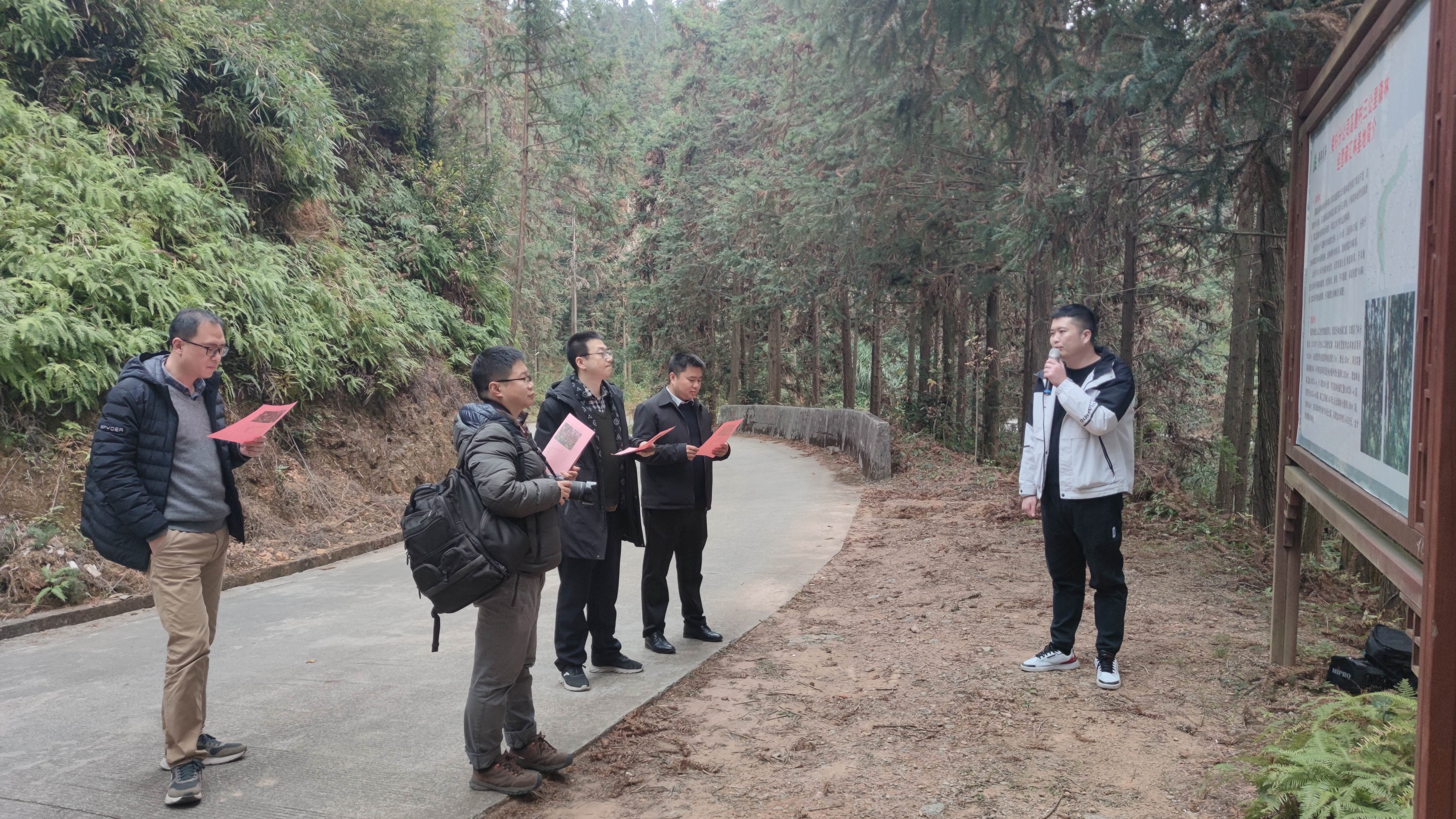 福建金森與上海園林集團(tuán)——強(qiáng)強(qiáng)交流促合作，共繪林改新藍(lán)圖